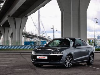 2019 Leapmotor S01 48 kWh (Li-ion), серый, 1700000 рублей, вид 4
