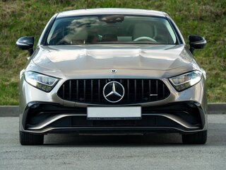 2021 Mercedes-Benz CLS AMG 53 AMG III (C257) Рестайлинг, серый, 8500000 рублей, вид 2