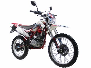 2026 Wels MX250R, красный, 157000 рублей, вид 1