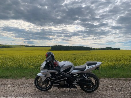 2002 Honda CBR 600F, серебристый, 340000 рублей, вид 1
