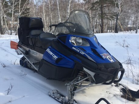 2009 Arctic Cat Bearcat, синий, 650000 рублей, вид 3
