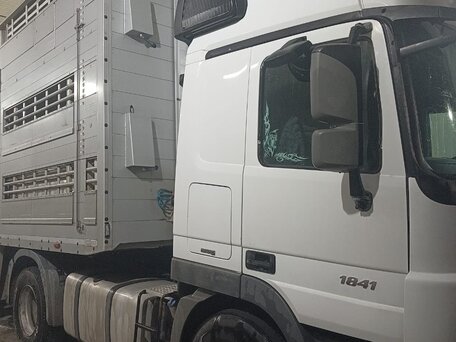 2015 Mercedes-Benz Actros, белый, 3200000 рублей, вид 2