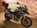 2023 Triumph Tiger 1200, зелёный, 2900000 рублей - вид 9