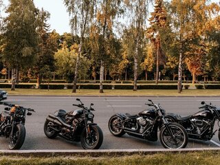 2021 Harley-Davidson Sportster S, чёрный, 1700000 рублей, вид 3