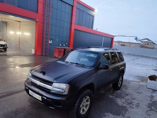 2002 Chevrolet TrailBlazer I, серый, 850000 рублей, вид 2