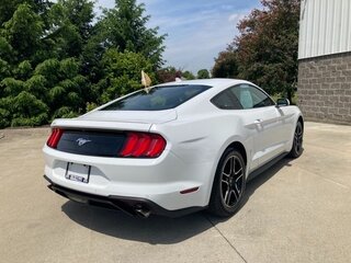 2022 Ford Mustang VI Рестайлинг, белый, 8114644 рублей, вид 4