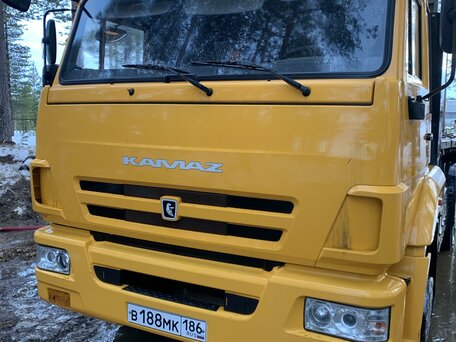 2017 КамАЗ 65116, жёлтый, 2799999 рублей, вид 2