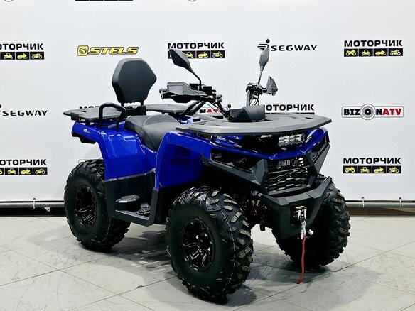 2025 Bison 250U, синий - вид 6