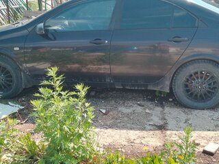 2006 Nissan Primera III (P12), чёрный, 270000 рублей, вид 4