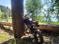 2024 Kayo Evolution YX140EM, чёрный, 26000 рублей - вид 2