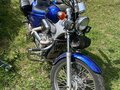 1994 Honda Steed 400, синий, 289000 рублей