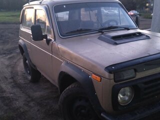 1989 Lada (ВАЗ) 2121 (4x4) I, бежевый, 230000 рублей, вид 5