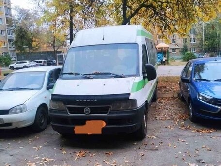 2010 Fiat Professional Ducato, белый, 850000 рублей, вид 1