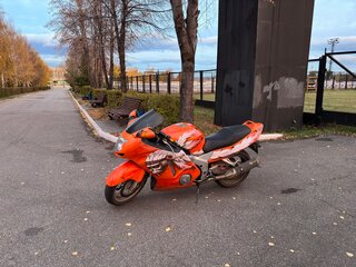 2001 Honda CBR 1100 XX, оранжевый, 429999 рублей, вид 4