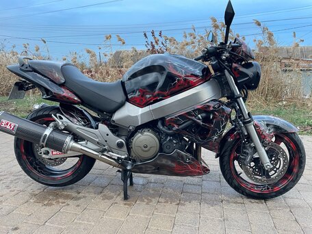 1999 Honda X11, красный, 499000 рублей, вид 2