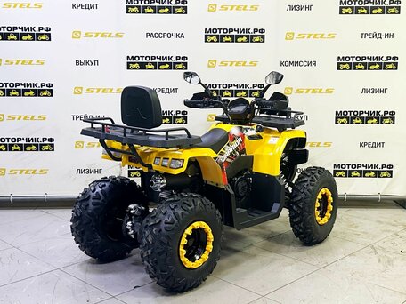 2025 Bison Warrior 200, жёлтый, 239900 рублей, вид 5