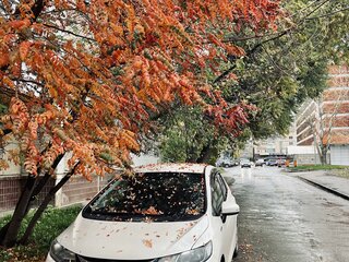 2016 Honda Fit III, белый, 1250000 рублей, вид 4