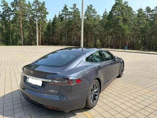 2019 Tesla Model S Performance I Рестайлинг, серый, 4570000 рублей, вид 5
