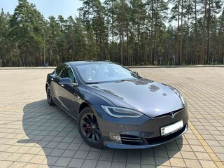 2019 Tesla Model S Performance I Рестайлинг, серый, 4570000 рублей, вид 4