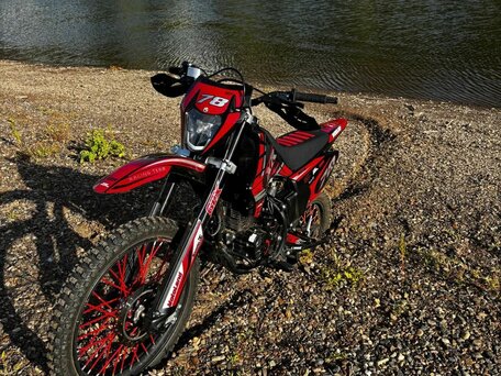 2025 Motoland XR300, красный, 120000 рублей, вид 5
