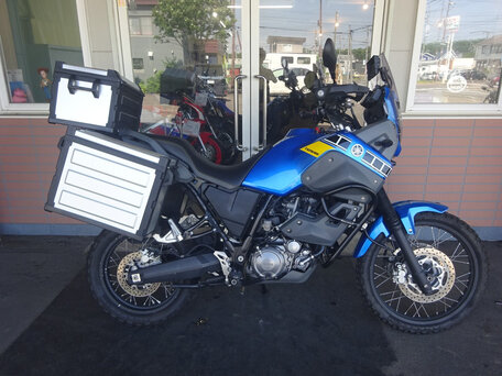 2009 Yamaha XT660Z Tenere, синий, 650000 рублей, вид 1
