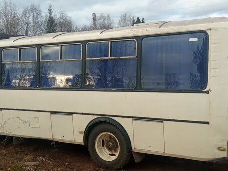 2007 ПАЗ 4234, белый, 350000 рублей, вид 2