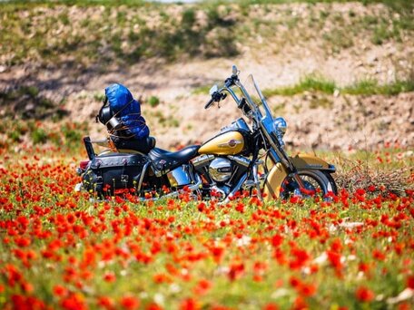 2016 Harley-Davidson Heritage, жёлтый, 1900000 рублей, вид 1