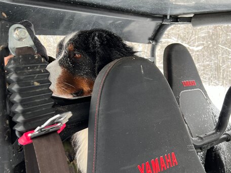 2018 Yamaha Wolverine X4, чёрный, 2700000 рублей, вид 5