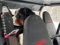 2018 Yamaha Wolverine X4, чёрный, 2700000 рублей - вид 4