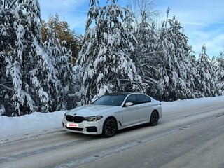 2019 BMW 5 серии 520d xDrive VII (G30/G31/G38), белый, 3900000 рублей, вид 3
