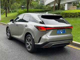 2025 Lexus RX 300 V, серый, 6623000 рублей, вид 4