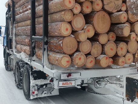 2010 КамАЗ 53215, синий, 1800000 рублей, вид 4
