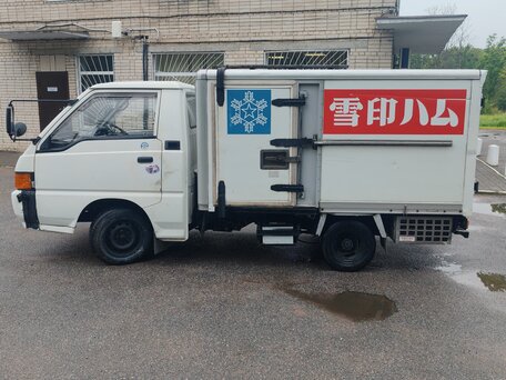 1995 Mitsubishi Delica, белый, 600000 рублей, вид 4