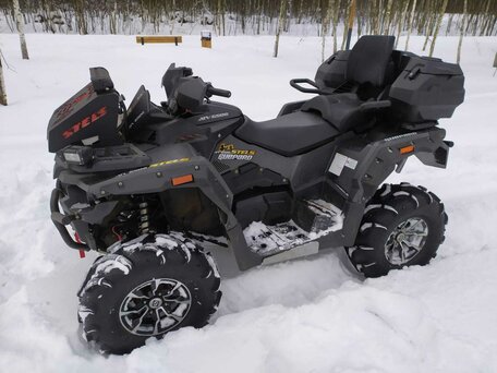 2019 Stels ATV-650 Guepard Trophy, серый, 740000 рублей, вид 2