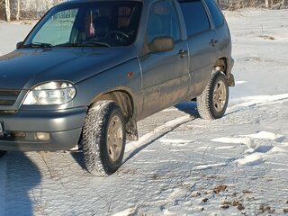 2007 Chevrolet Niva I, серый, 200000 рублей, вид 1