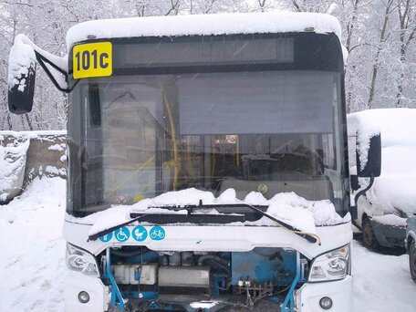2016 ЛиАЗ 4292, белый, 620000 рублей, вид 1