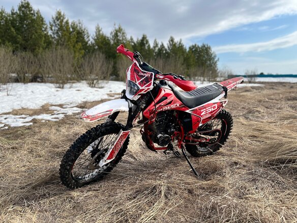 2025 Darex Alga 300, красный, 115000 рублей - вид 2