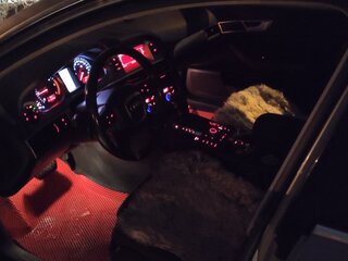 2008 Audi A6 III (C6), серый, 620000 рублей, вид 2