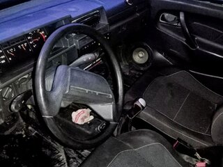 1996 Lada (ВАЗ) 21099, серебристый, 75000 рублей, вид 5