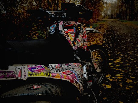 2020 Racer Panther, оранжевый, 140000 рублей, вид 3