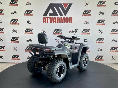 2024 Bashan Explorer 300, серый, 389000 рублей, вид 4