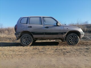 2008 Chevrolet Niva I, серебристый, 250000 рублей, вид 4