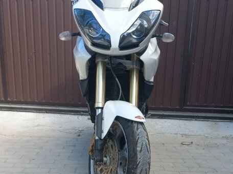 2007 Triumph Tiger 1050, белый, 530000 рублей, вид 3