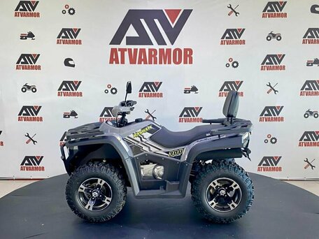 2024 Bashan Explorer 300, серый, 389000 рублей, вид 2