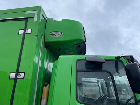 2010 DAF CF 65, зелёный, 4500000 рублей, вид 2
