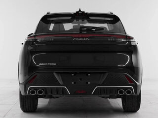 2025 Dongfeng Mage, чёрный, 2550000 рублей, вид 5