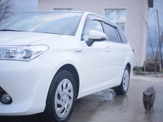 2017 Toyota Corolla Fielder XI (E160, E170, E180) Рестайлинг 1, белый, 1430000 рублей, вид 1