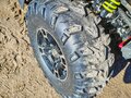 2015 Bashan Explorer 320, зелёный, 499000 рублей - вид 1