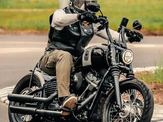 2019 Harley-Davidson Street Bob, серый, 920000 рублей, вид 2