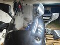 2002 BMW F 650 GS, синий, 360000 рублей - вид 10